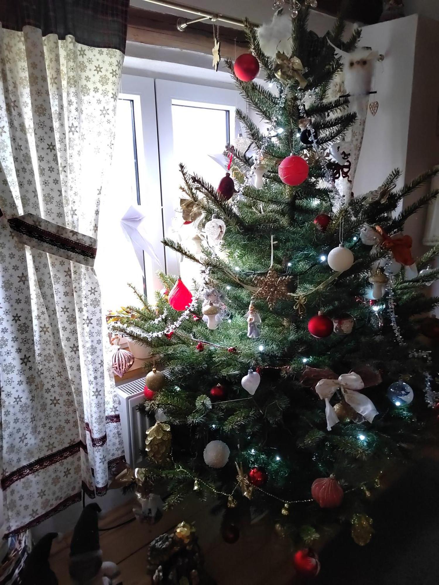 Apartman Amalka Ktis Dış mekan fotoğraf